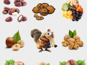 年货盛宴 坚果干果海报设计素材全攻略